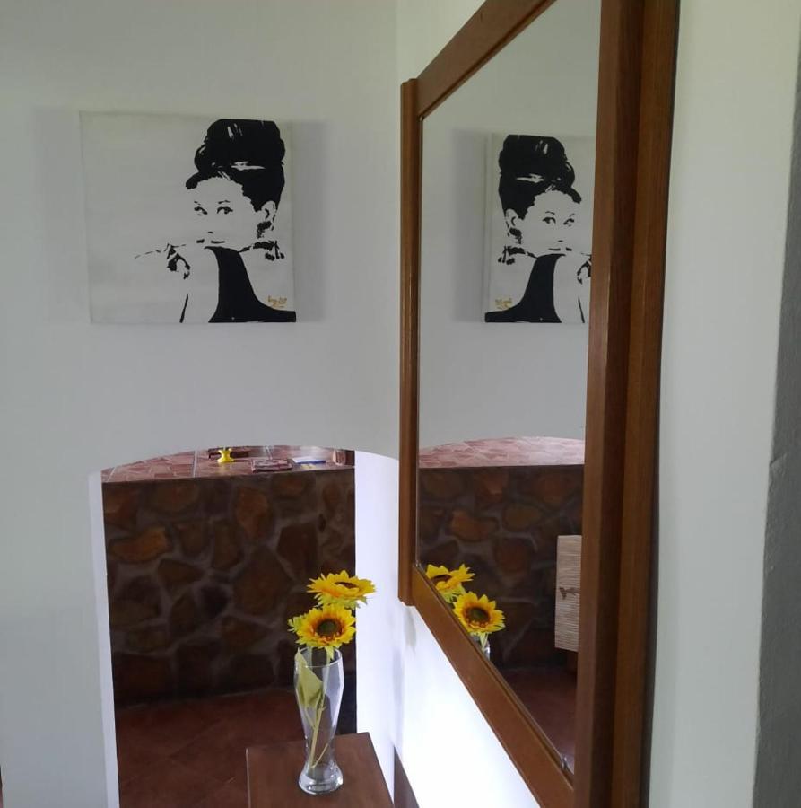 Apartament Relax Time Videken Kiskunhalas Zewnętrze zdjęcie