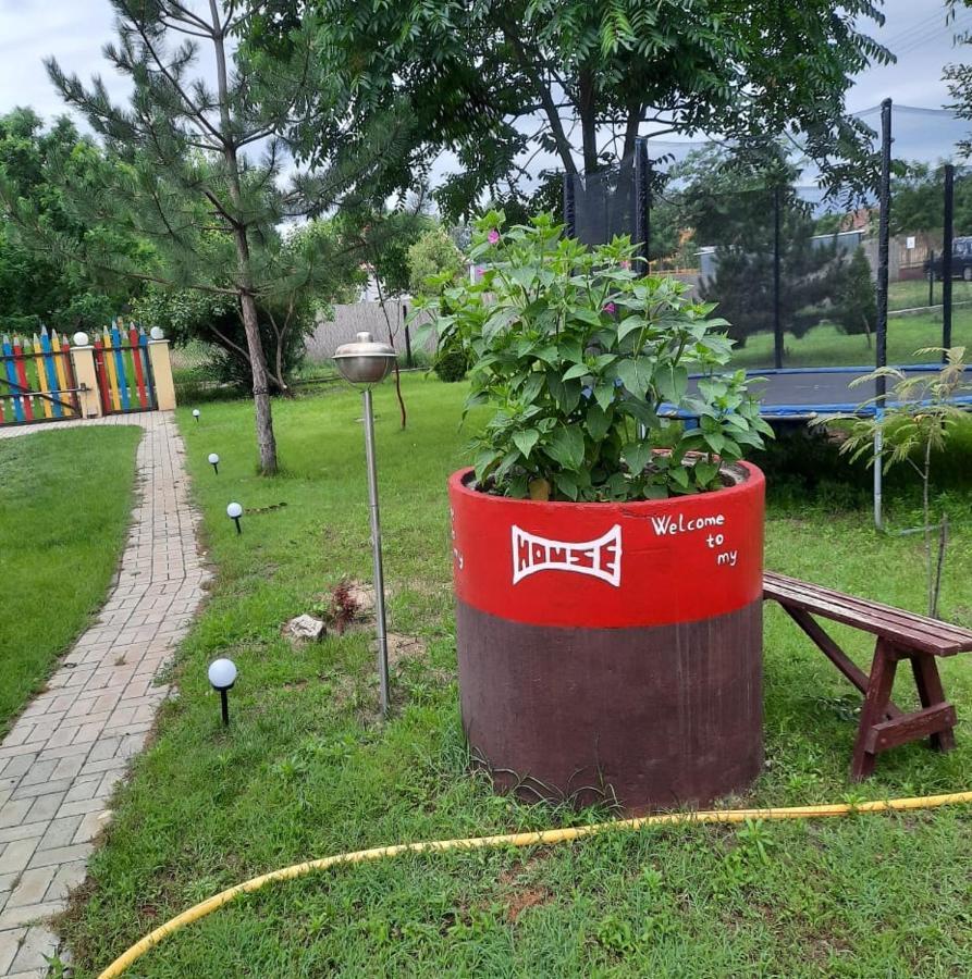 Apartament Relax Time Videken Kiskunhalas Zewnętrze zdjęcie